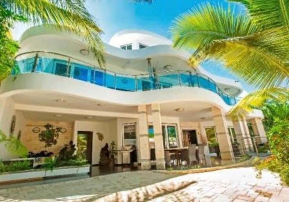 PHOTO-2020-08-18-13-19-57